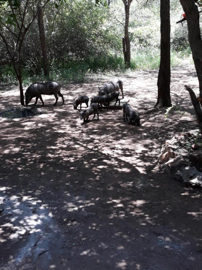 African Sky Marloth Park Luaran gambar