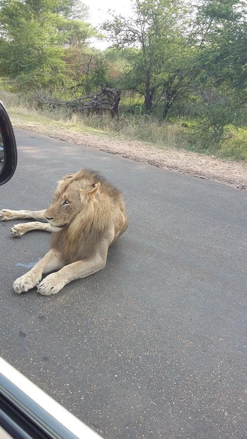 African Sky Marloth Park Luaran gambar